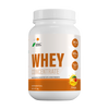 WHEY PROTEIN CONCENTRATE MANGO